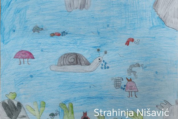 Такмичарски рад 151 Аутор: Страхиња Нишавић 3/2 ОШ „Наталија Нана Недељковић“, Грошница, Крагујевац Назив дела: „Пужић Влада из Спорограда“ Ментор: Ивана Иванковић