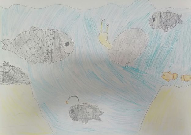 Такмичарски рад 229 Аутор: Петра Бранкован, 4/2 ОШ „Велимир Маркићевић" Мајданпек Романа: „Пуж Влада из Спорограда“ Ментор: Слађана Митровић