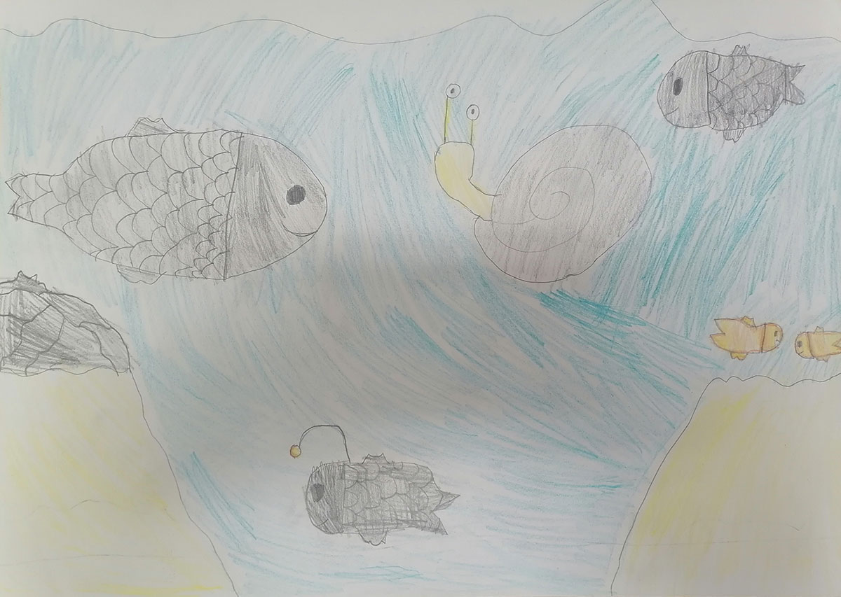 Такмичарски рад 229 Аутор: Петра Бранкован, 4/2 ОШ „Велимир Маркићевић" Мајданпек Романа: „Пуж Влада из Спорограда“ Ментор: Слађана Митровић