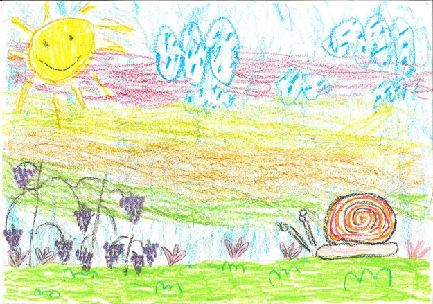 Такмичарски рад 232 Аутор: Нађа Спасов, 2/3 ОШ ,,Милош Црњански", Београд Одломак из романа ,,Дечак змај и друге бајке, прича ,,Пуж Влада из Спорограда" Ментор: Светлана Живковић