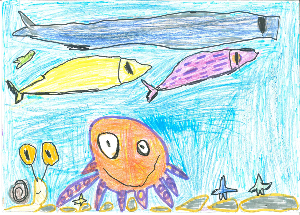 Такмичарски рад 234 Аутор: Немања Бањац, 2/3 ОШ ,,Милош Црњански", Београд Одломак из романа ,,Дечак змај и друге бајке, прича ,,Пуж Влада из Спорограда" Ментор: Светлана Живковић