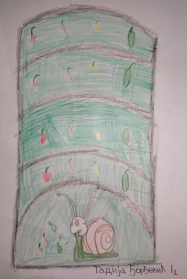 Такмичарски рад 236 Аутор: Тадија Ђорђевић 1. разред ОШ „Иво Андрић" Радинац Романа: ,,Дечак Змај и друге бајке“ Ментор: Наташа Ђорђевић Арсић