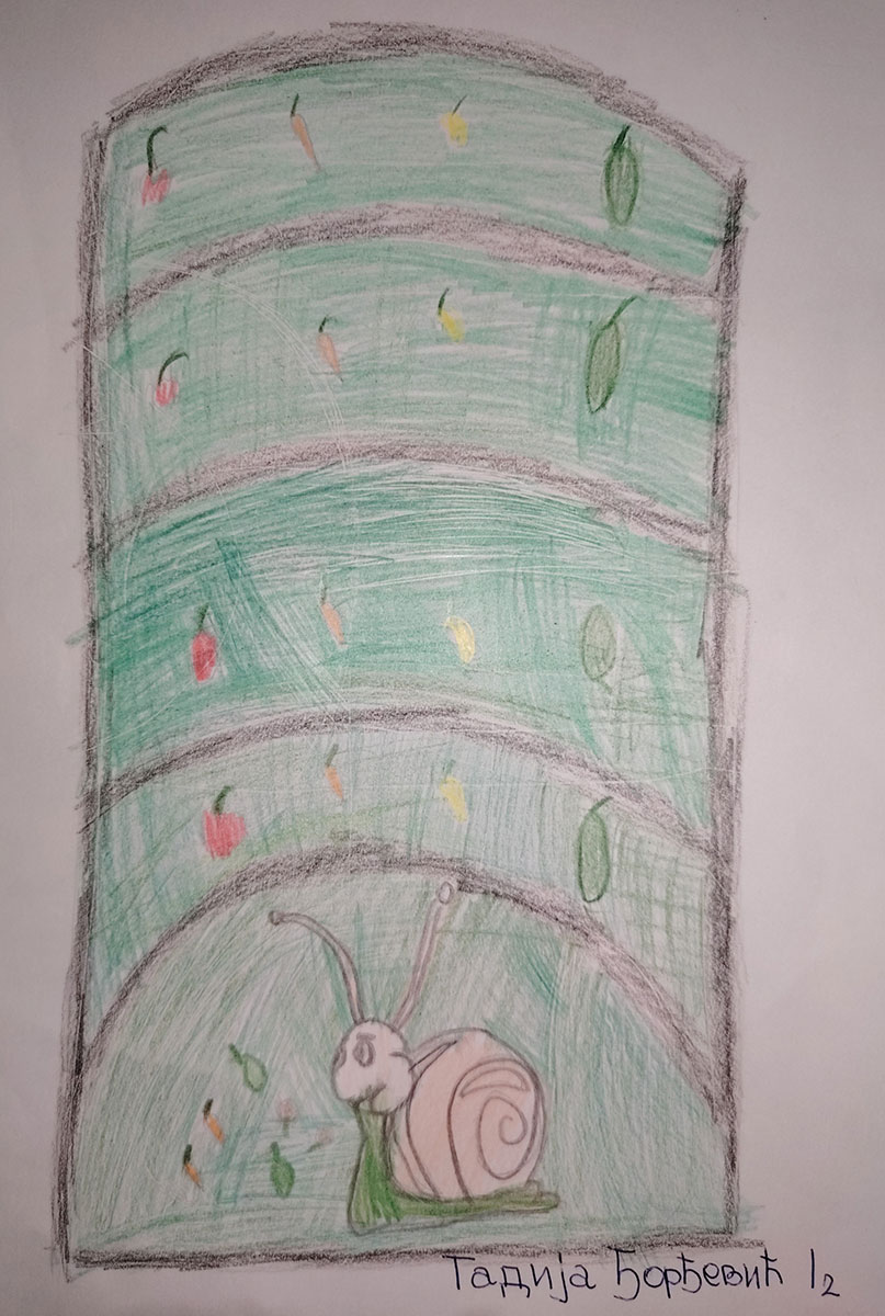 Такмичарски рад 236 Аутор: Тадија Ђорђевић 1. разред ОШ „Иво Андрић" Радинац Романа: ,,Дечак Змај и друге бајке“ Ментор: Наташа Ђорђевић Арсић