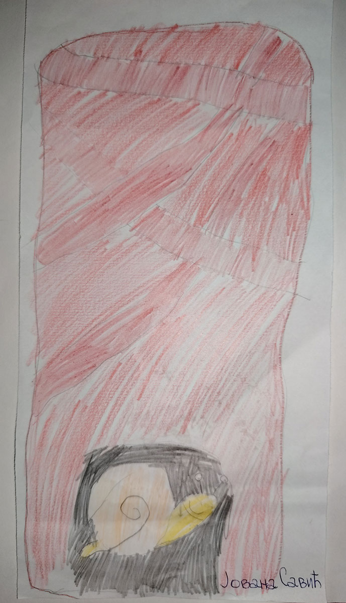 Такмичарски рад 238 Аутор: Јована Савић 1. разред ОШ „Иво Андрић" Радинац Романа: ,,Дечак Змај и друге бајке“ Ментор: Наташа Ђорђевић Арсић