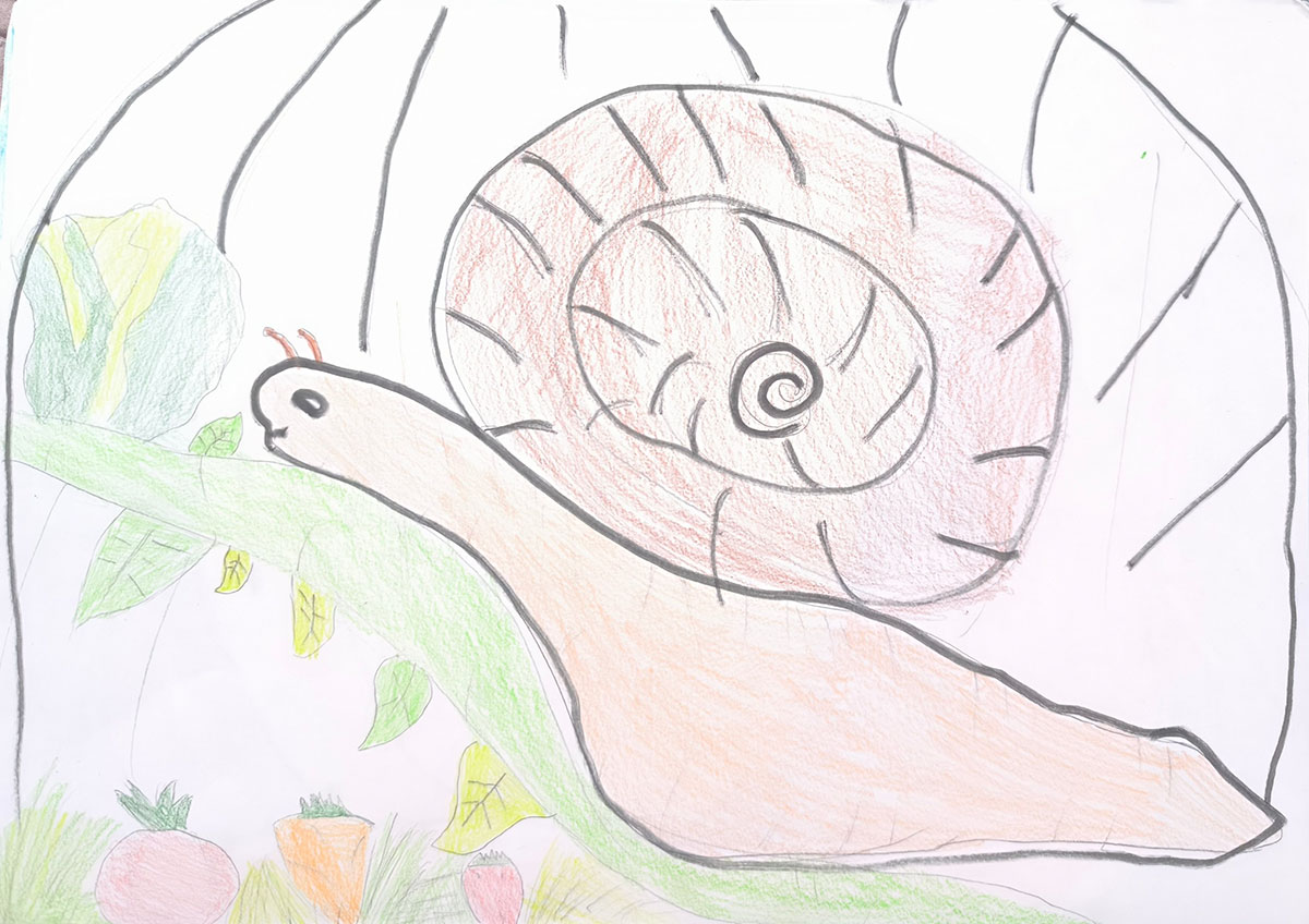 Такмичарски рад 276 Аутор: Нина Кекић, други разред, 2-2, Основна школа „Милош Црњански", Београд. Одломак из романа „Дечак Змај и друге бајке“, прича „Пужић Влада из Спорограда“. Ментор: Ватрослава Милојевић