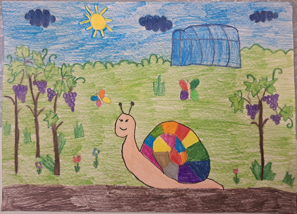 Такмичарски рад 295 Аутор: Ена Јовчић. први разред ОШ ,,Бора Станковић", Каравуково Одломак из романа ,,Дечак Змај и друге бајке“, прича „Пужић Влада из Спорограда“