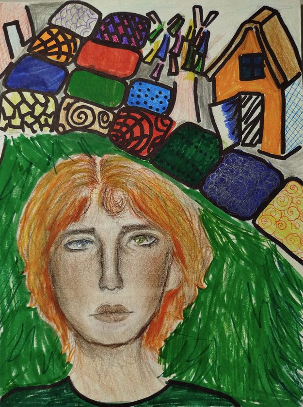 Такмичарски рад 332 Аутор: Ленка Велемир, 5/5 ОШ „Петар Петровић Његош“, Зрењанин Роман: „Дечак који је путовао кроз романе“