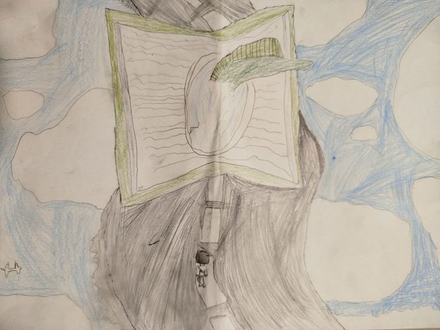 Такмичарски рад 337 Аутор: Марко Томин 5/1 ОШ „Петар Петровић Његош“, Зрењанин Роман: „Дечак који је путовао кроз романе"