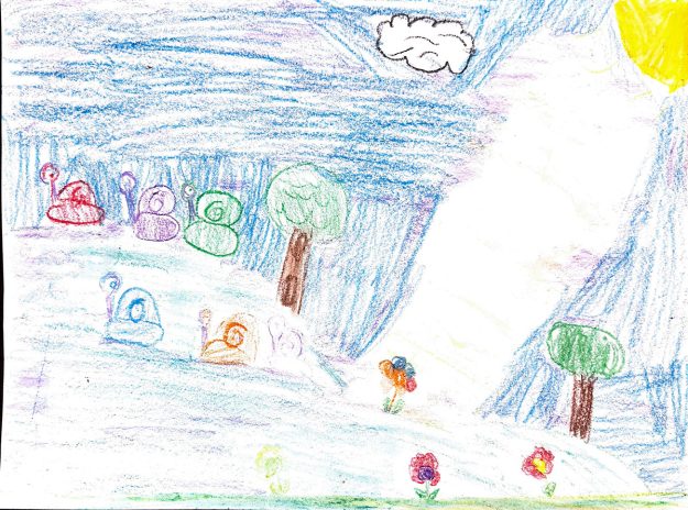 Такмичарски рад 355 Аутор: Игор Наранчић, 2/3 ОШ ,,Милош Црњански", Београд, Одломак из романа ,,Дечак змај и друге бајке", прича ,,Пуж Влада из Спорограда" Ментор: учитељица Светлана Живковић