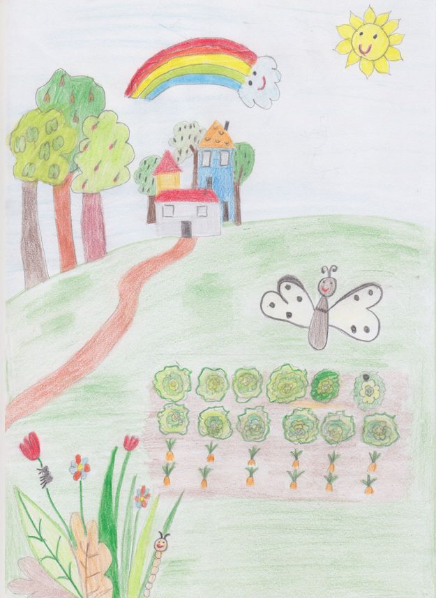 Такмичарски рад 370 Аутор: Татјана Иветић 11 Школа: ОШ „Браћа Барух“, Београд Роман: Бајка о лептиру Ментор: Љиљана Ракоњац