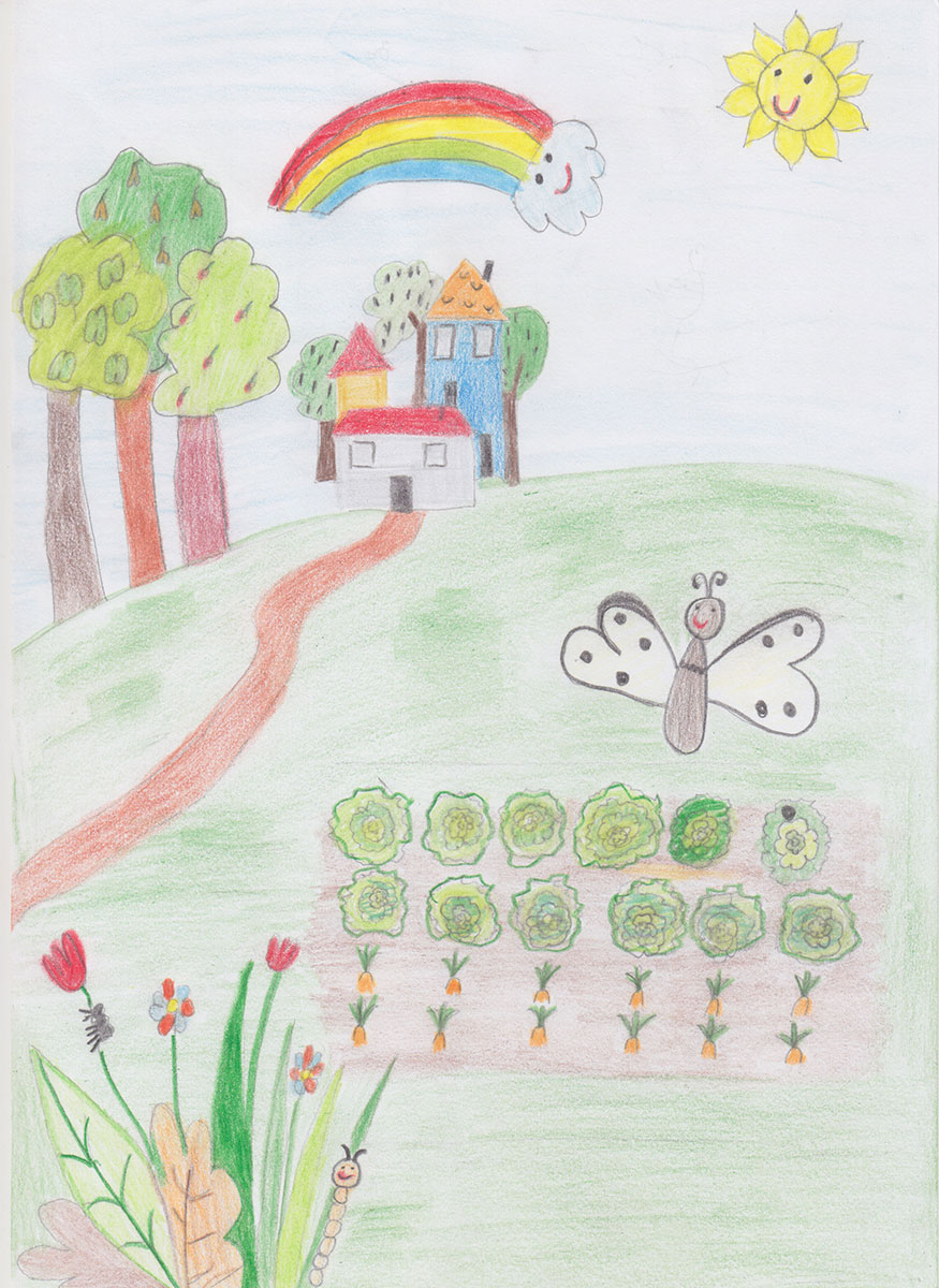 Такмичарски рад 370 Аутор: Татјана Иветић 11 Школа: ОШ „Браћа Барух“, Београд Роман: Бајка о лептиру Ментор: Љиљана Ракоњац