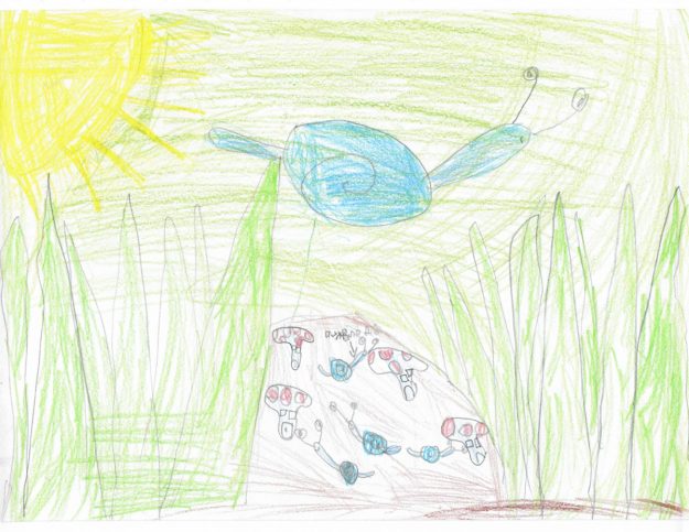 Такмичарски рад 382 Аутор : Ида Павловић, I /2 ОШ " Радоје Домановић " Ниш Oдломак из романа "Дечак змај и друге бајке" , прича Пуж Влада из Спорограда Ментор: учитељица Данијела Тричковић