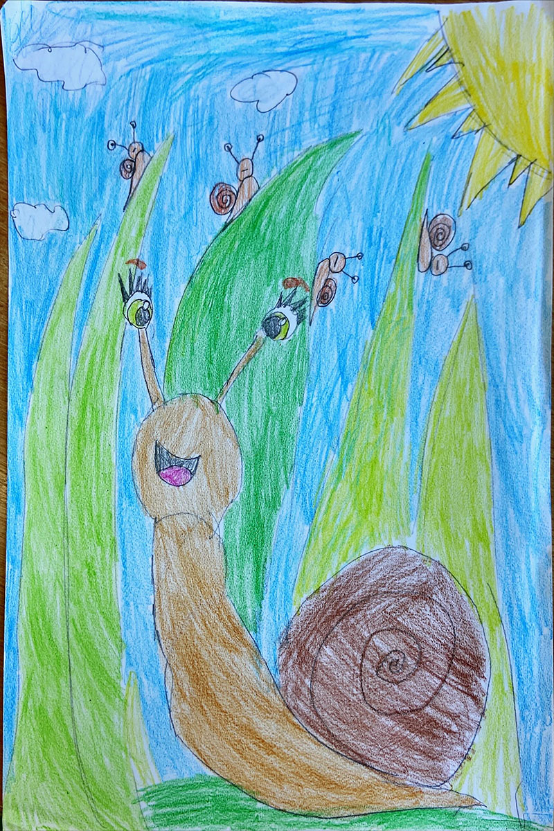 Такмичарски рад 98 Аутор: Неда Џингалашевић, 1/4 ОШ ,,Павле Савић“ Миријево, Београд Роман: „ Дечак Змај и друге бајке “, прича „Пужић Влада из Спорограда“ Ментор: учитељица Марина Јованов